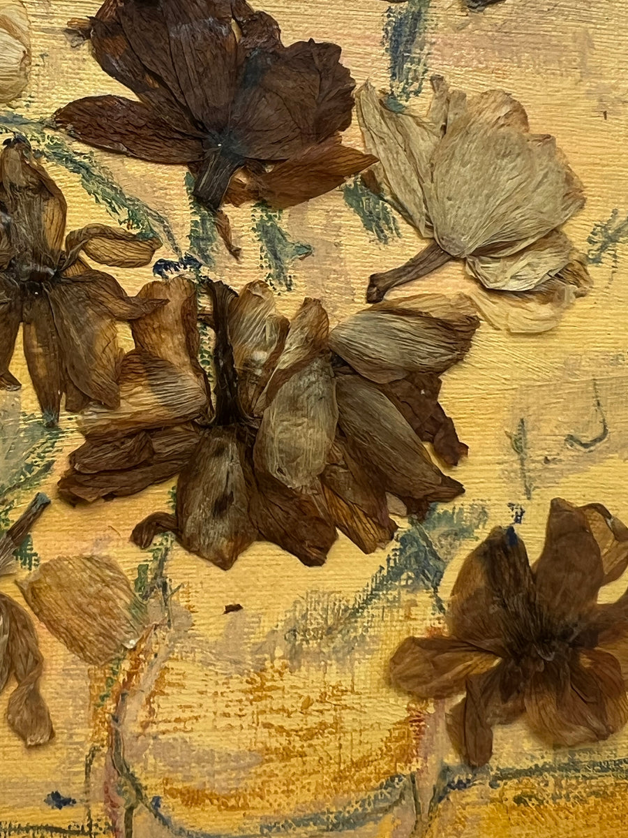 Dried Daffodils