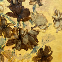 Dried Daffodils