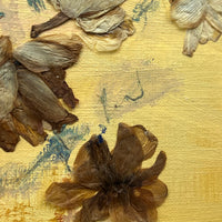 Dried Daffodils